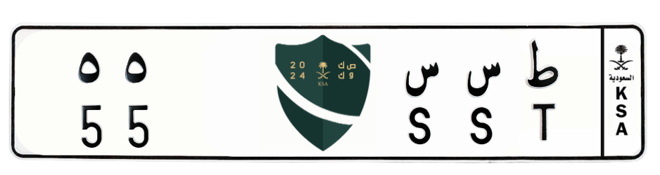 لوحة ط س س 55